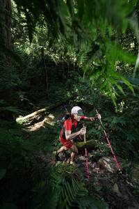 BIB: 
                            <button type="button" onclick="openModal(16028408)" class="btn btn-primary btn-sm float-right btn-popup" data-toggle="modal" data-target=".modal-high-quality">
                        <i class="fas fa-shopping-cart"></i> Add to Cart
                    </button>
                                            <button type="button" onclick="isThisMe(16028408, true)" class="btn btn-success btn-sm float-right btn-popup btn-isme hidden" data-toggle="tooltip" data-placement="bottom" title="นี่คือรูปของคุณใช่ไหม คลิกที่นี่เพื่อเอาเข้าอัลบั้ม">
                        <i class="fas fa-plus"></i> Add to album
                    </button>
                    <button type="button" onclick="isThisMe(16028408, false)" class="btn btn-warning btn-sm float-right btn-popup btn-isnotme hidden">
                        <i class="fas fa-ban"></i> Remove from album
                    </button>